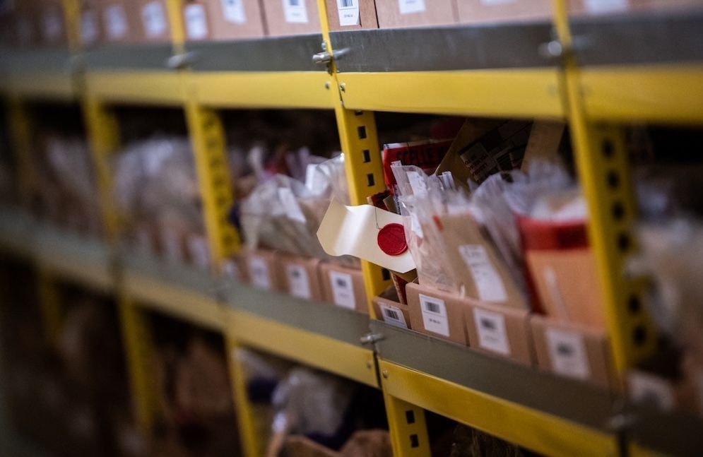 Qu’est-ce que la généalogie génétique que le gouvernement veut légaliser pour résoudre des « cold cases » ?