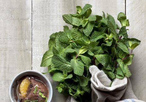 Les bienfaits de la menthe en cuisine