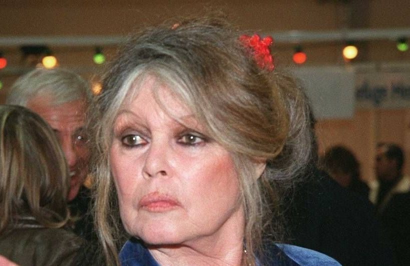 Mort de Brigitte Bardot : pourquoi la classe politique se divise sur un hommage national