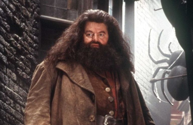 « Harry Potter » : les premières images (prometteuses) du tournage avec Harry et Hagrid à Londres