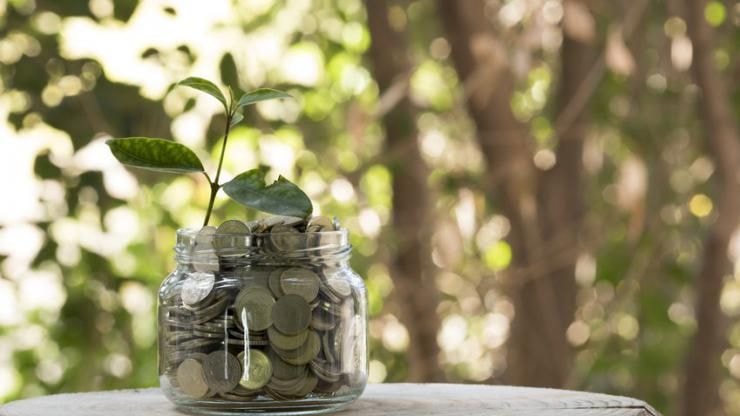 Taux assurance vie : combien va rapporter le nouveau fonds euros de La Banque Postale ?