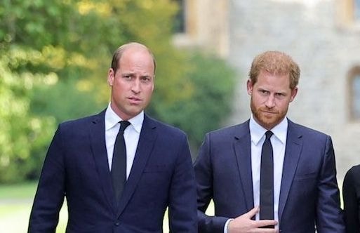 Les princes Harry et William en deuil : leur ancien garde du corps est décédé