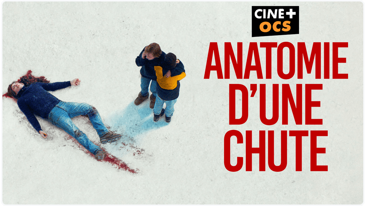 Anatomie_d_une_chute.png