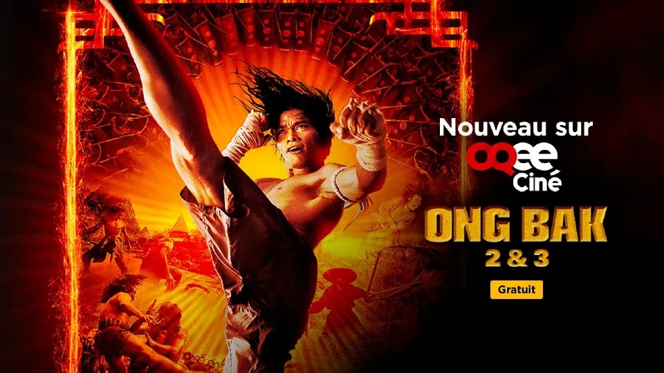 Promo-POP-OngBak.webp