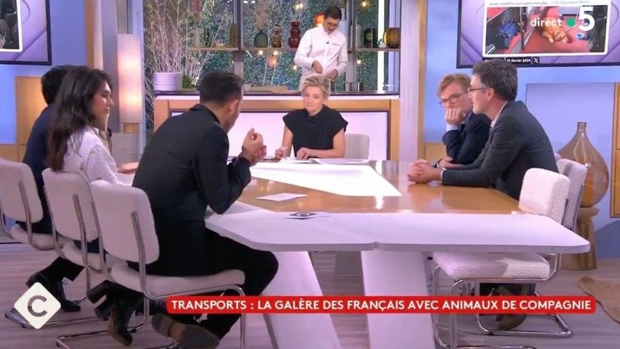"Pardon mais il y a des gens qui n’aiment pas", Anne-Elisabeth Lemoine, le ton montre entre deux de ses chroniqueurs