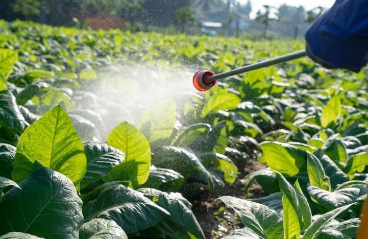 Malformation de leur enfant : une famille perd son procès en France contre le glyphosate de Bayer