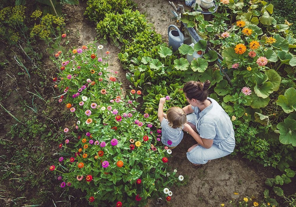 Que faire au jardin en juin ?