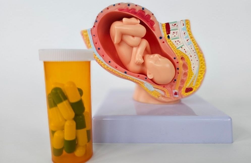 Placentophagie : placenta au menu, effet de mode ou vrai risque pour la santé ?