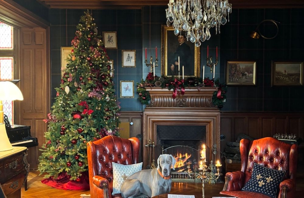 Tartan, cheminée et branches de houx : une maison de campagne transformée par la magie de Noël