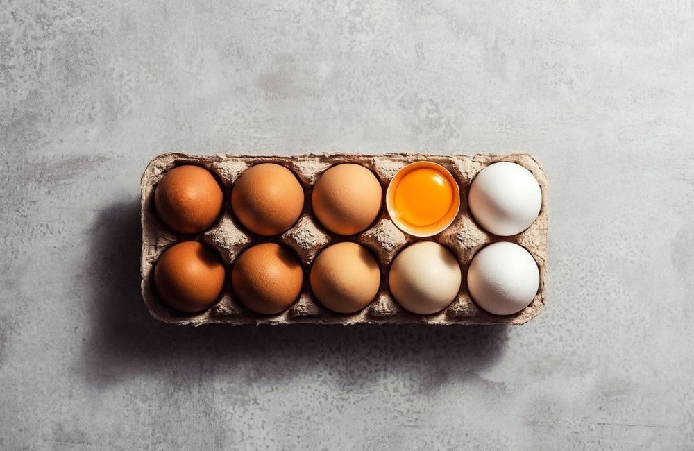 Voici pourquoi vous devriez manger au moins un œuf par semaine