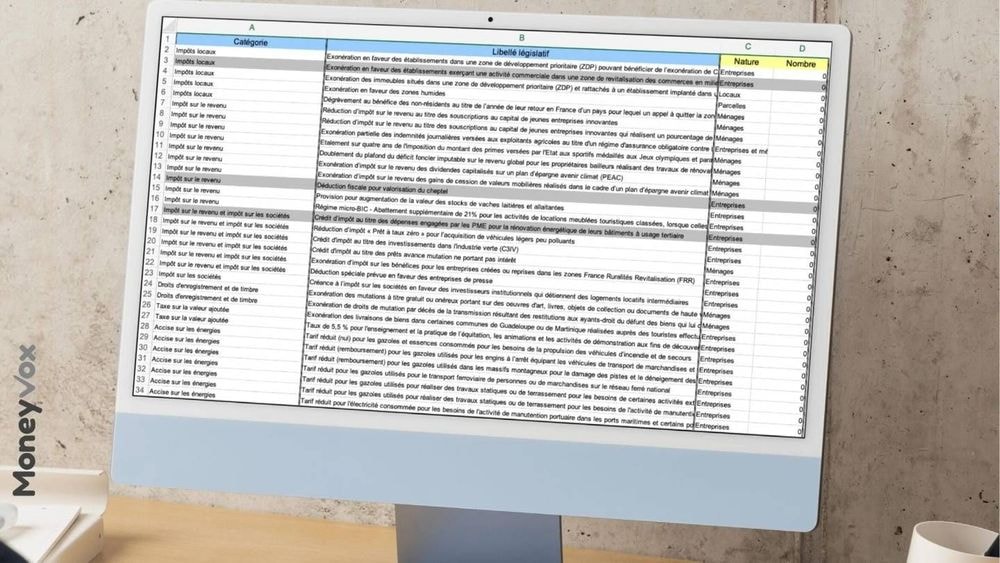 Impôts : la liste des 69 niches fiscales qui profitent à moins de 100 contribuables (ou entreprises)