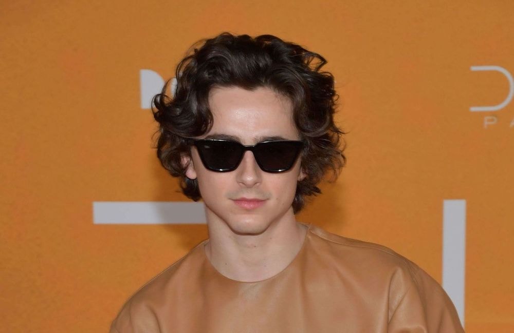 Timothée Chalamet : son apparition lors d’un concours de sosie… de lui-même