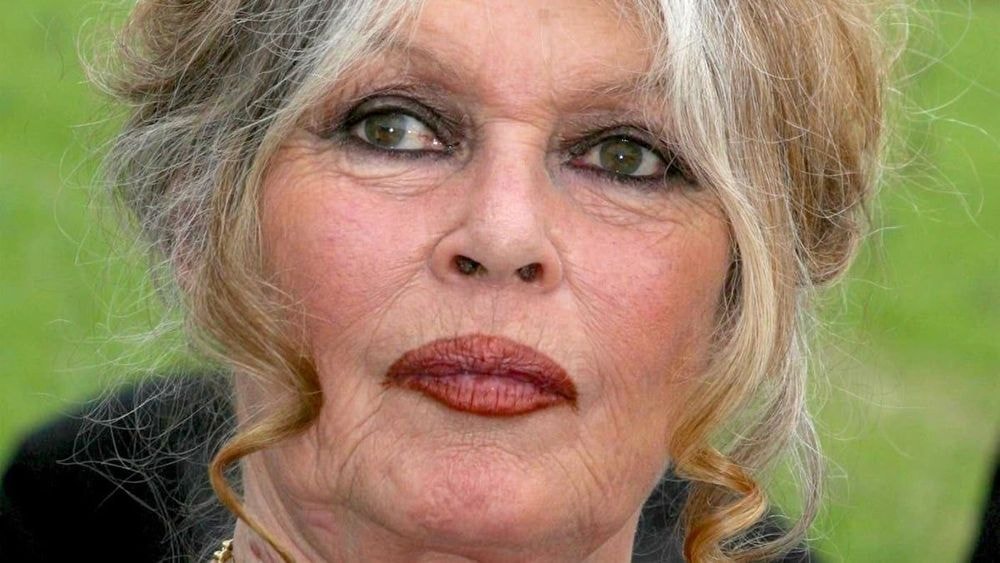 "Saignés à vif" : en plein Ramadan, Brigitte Bardot s'indigne sur cette pratique
