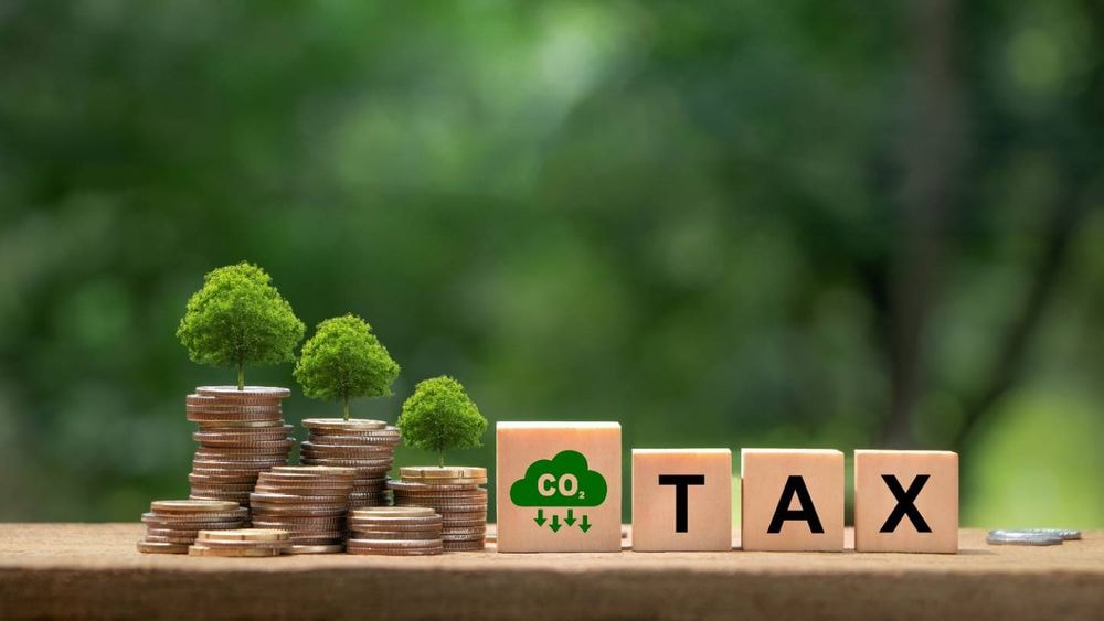 Achat d'une voiture : des règles sévères pour profiter de l'abattement sur le malus écologique