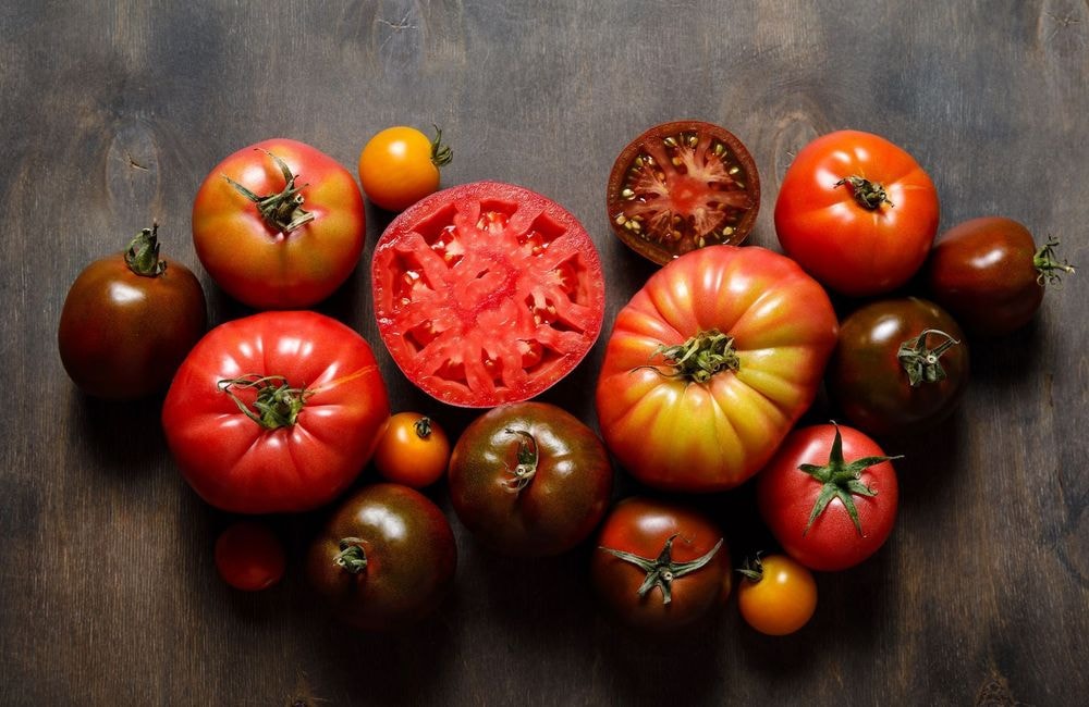 Voici pourquoi il ne faut pas conserver les tomates au frigo