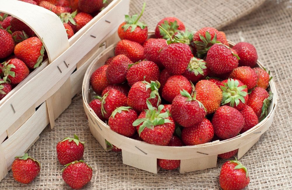 Faut-il choisir des petites ou des grosses fraises ?