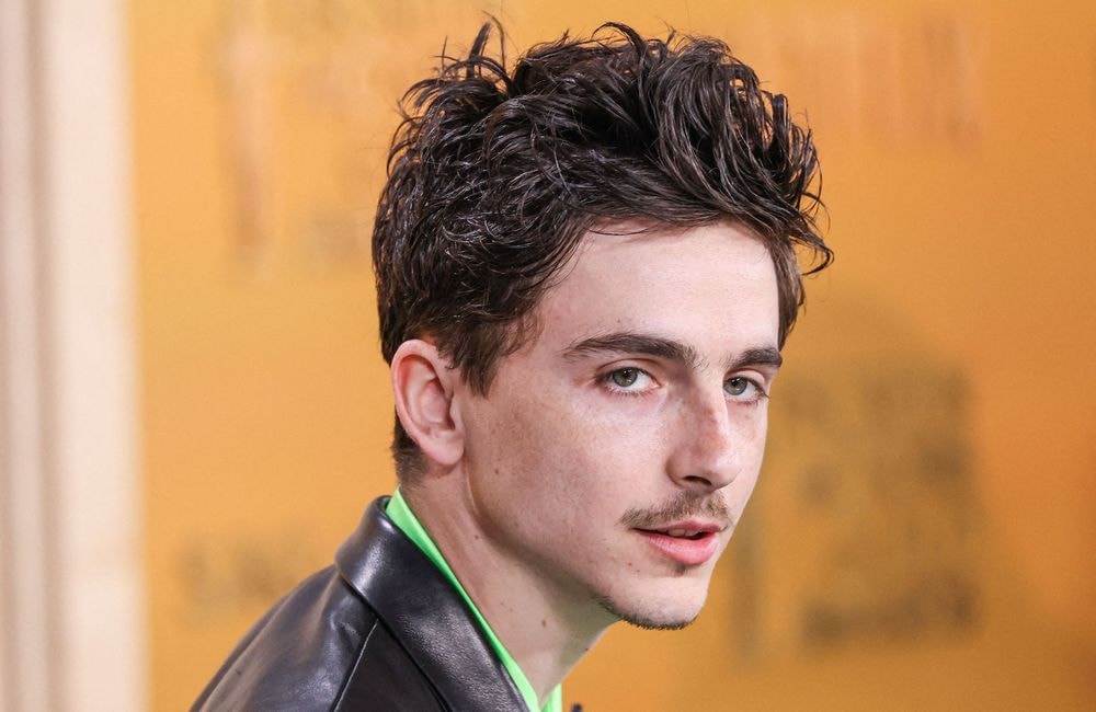Timothée Chalamet : qui est son père français, Marc Chalamet ?