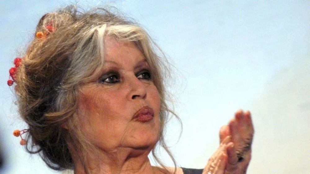 Brigitte Bardot étrillée avant ses obsèques : "Elle a dit que les Réunionnais avaient gardé des gènes de sauvages"