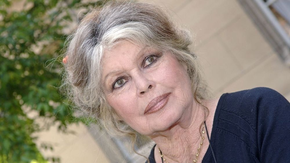Héritage de Brigitte Bardot : sa Fondation règle ses comptes, "Pas comme chez les Delon..."