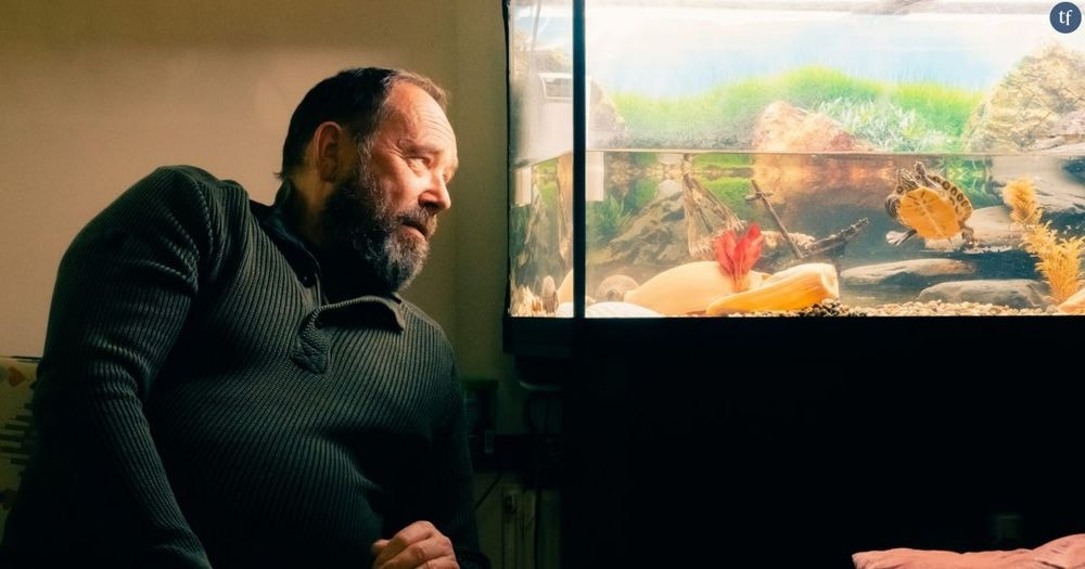 Cinéma : "Les Tortues", la mélancolique chronique d'un couple senior gay en crise