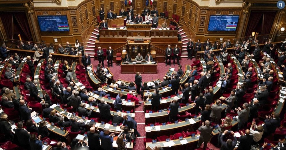 "Il est temps !" : le Sénat adopte l'inscription de l'IVG dans la Constitution
