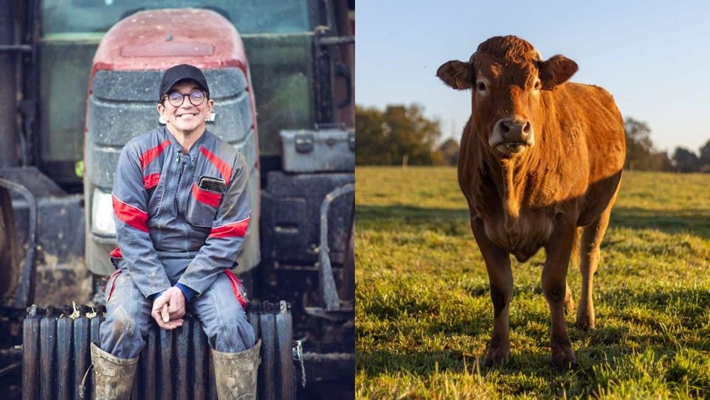 Antoine (L'amour est dans le pré) : après l'éviction de l'émission, il est victime d'un accident à cause d’une vache !