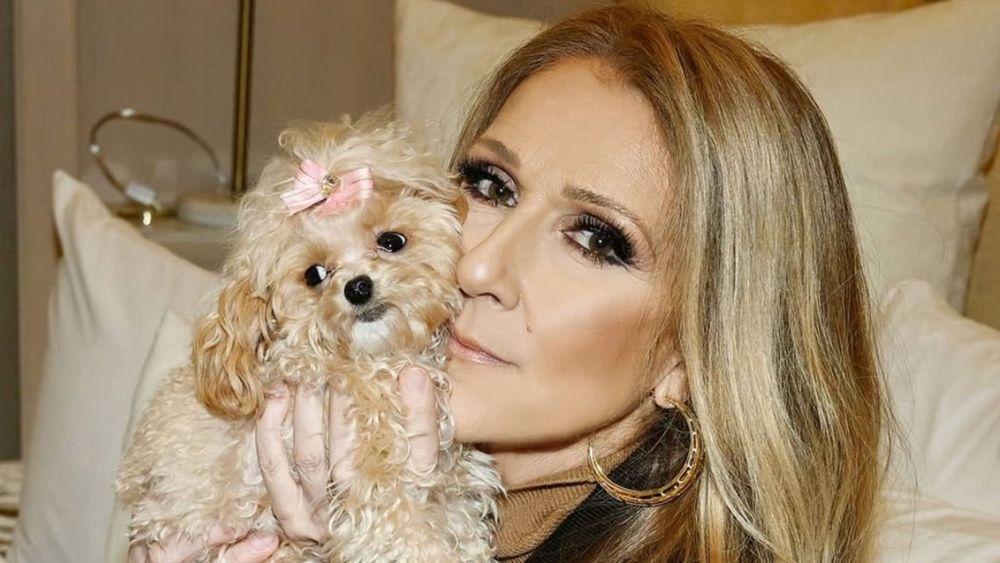 Céline Dion : en deuil et "le cœur brisé", elle vient d’apprendre une terrible nouvelle !