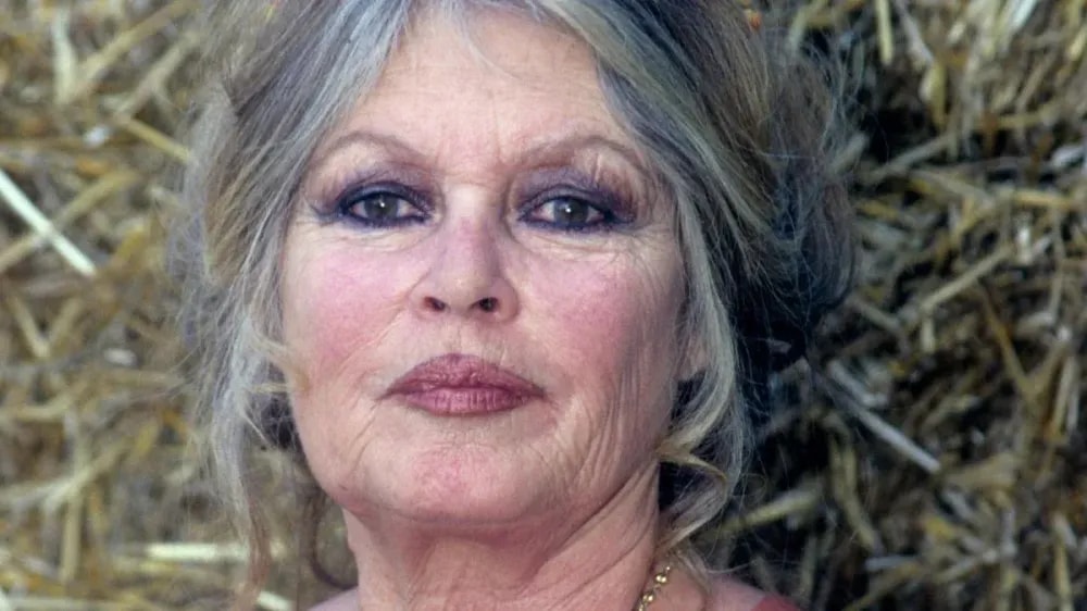 Brigitte Bardot “homophobe” et “raciste”, les chroniqueurs de Cyril Hanouna crachent leur venin sans vergogne