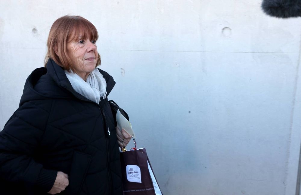 Procès en appel des viols de Mazan : face à Gisèle Pelicot, qui est Husamettin Dogan, le seul accusé rejugé ?