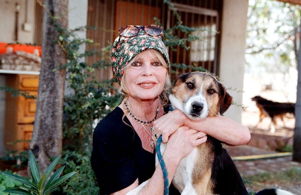 Brigitte Bardot : Bernard d’Ormale évoque le fils unique de la star, Nicolas, qu’elle « n’a jamais refusé d’élever »