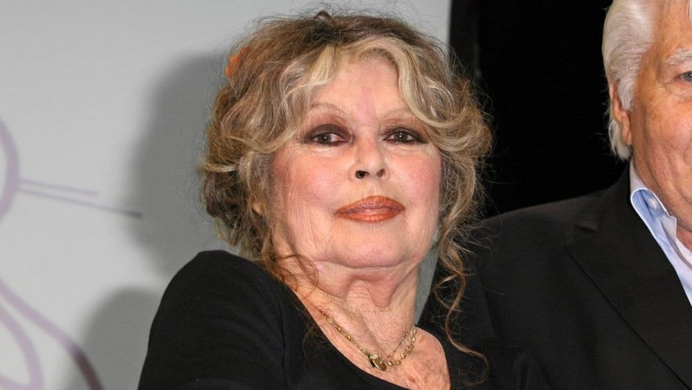 Brigitte Bardot (90 ans) : "Je lui pelotais les...", confidences cash de Jean-Paul Belmondo