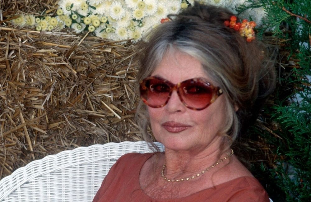 Brigitte Bardot hospitalisée à Toulon dans un « état de santé préoccupant »
