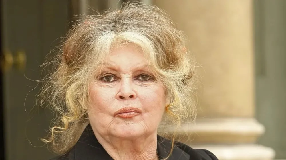 Emmanuel Macron exclu des obsèques de Brigitte Bardot, “je suis en colère face à votre…”