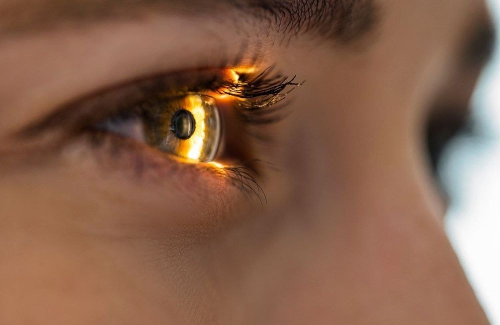 Aphantasie : quand les parents ne visualisent pas le visage de leurs enfants