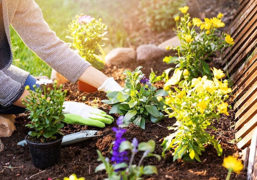 Que faire au jardin en avril ?