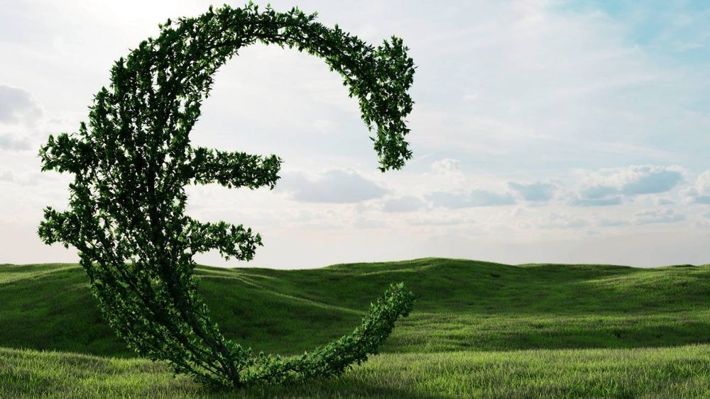 Assurance vie : où est investie votre épargne ?