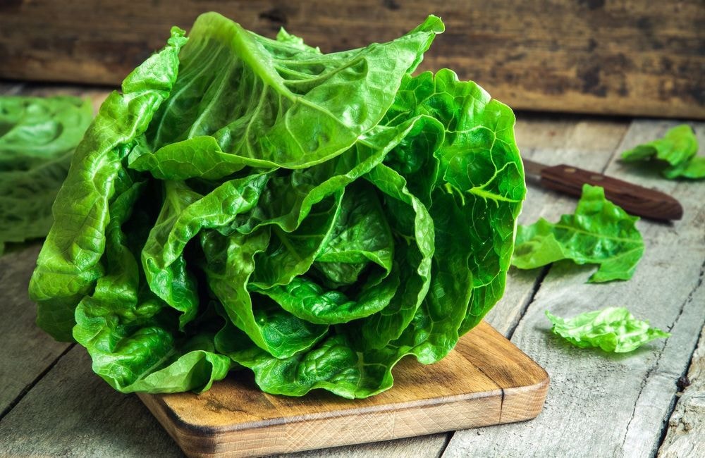 Les astuces pour garder une salade fraîche le plus longtemps possible