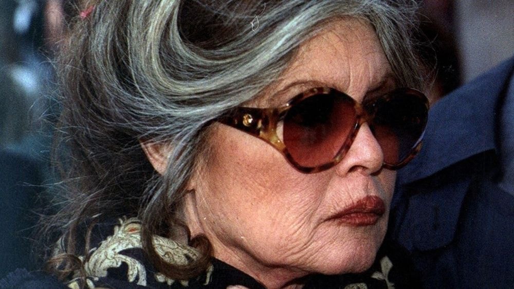 Brigitte Bardot, la mort l'a frappée : "Je perds une partie de moi"