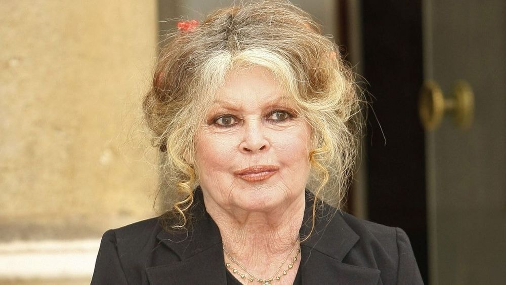 Brigitte Bardot, à 91 ans : une "maladie grave", son état de santé est "préoccupant"