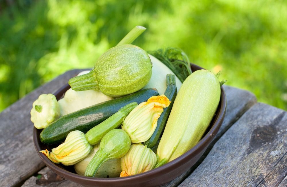 1001 secrets pour réussir la culture de courgettes