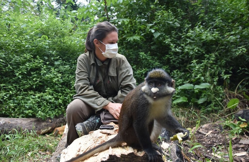 Défier le braconnage : le quotidien d’Amandine Renaud, primatologue en République démocratique du Congo