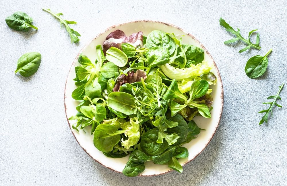 Laitue, mâche et roquette : quelles salades vertes manger au printemps?