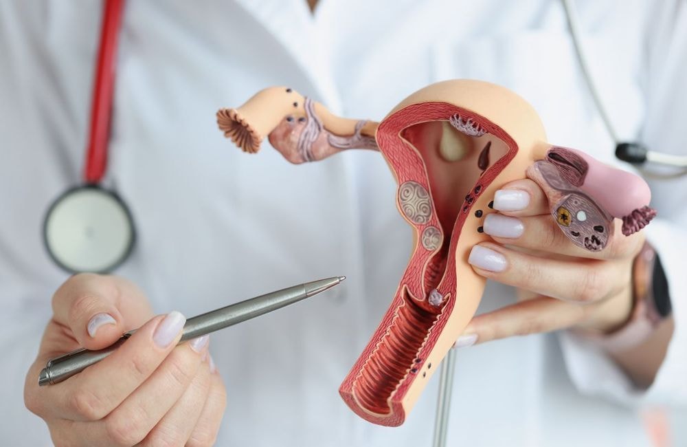Ce que l'âge des premières règles peut dire de votre santé future