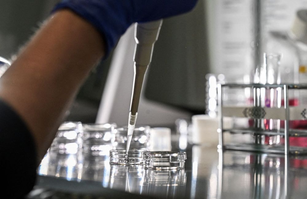 Fin des fécondations in vitro avec des dons anonymes : ce qui va finalement changer au 31 mars
