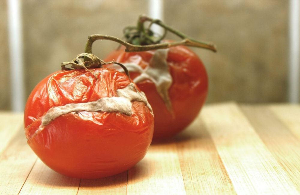 Voici comment donner une seconde vie aux légumes flétris