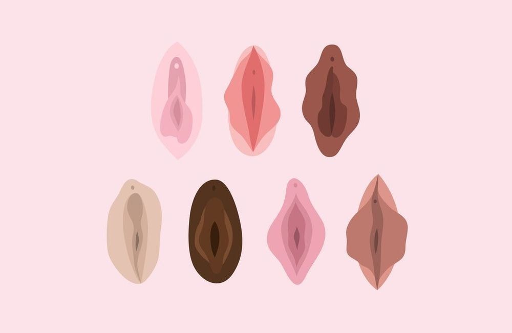 Faut que je te dise : « Comment savoir si la forme de mon sexe est normale ? »