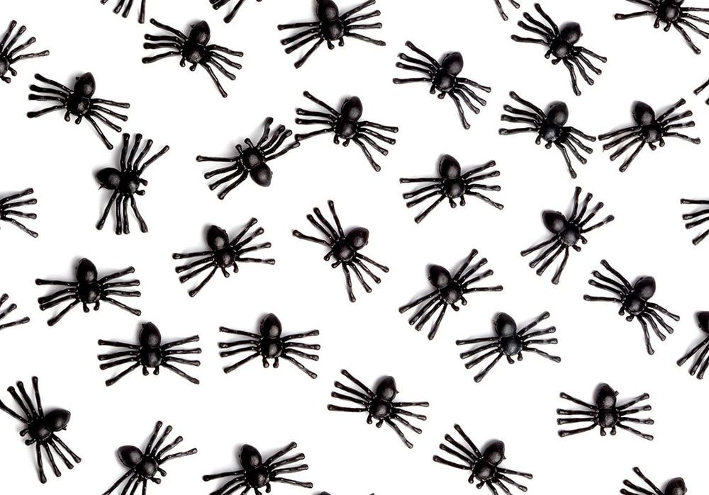 Pourquoi rêve-t-on d'araignées, de fourmis ou de moustiques ? Notre interprétation
