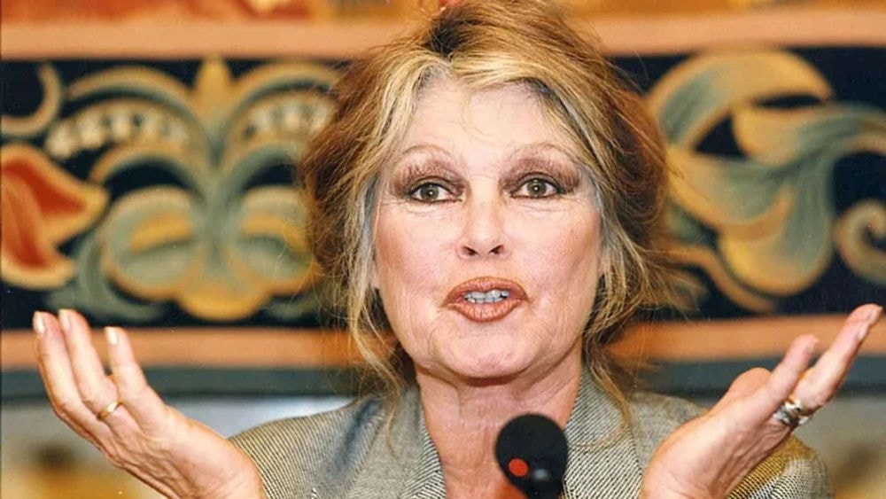 Brigitte Bardot : France 3 fait polémique en annulant l'hommage prévu !