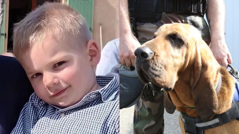 Mort du petit Émile : on vous explique comment les chiens ont pu passer à côté du corps