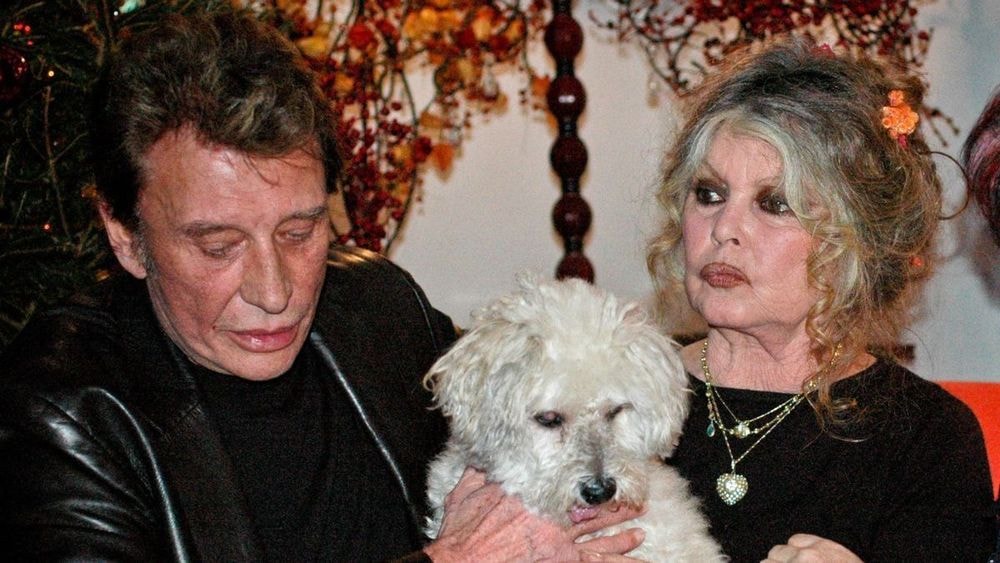 Mort de Brigitte Bardot : Laeticia Hallyday partage des archives aux côtés de Johnny Hallyday